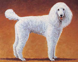 free-animal-drawing-tutorial Learn how to choose your subject for your next animal drawing