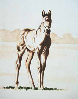 Animal-drawing-techniques Learn tips for photographing animals for reference in your animal drawing