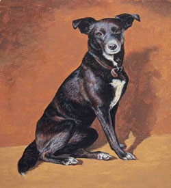 how to draw dogs