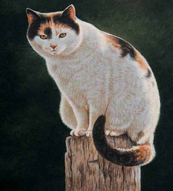 draw-animals Get Expert Tips to Draw Animals that are Realistic and Lifelike