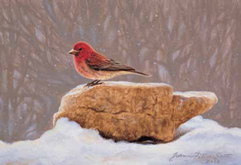 Tips for excellent bird drawings