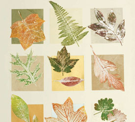 Nature Printing: The Nature of Art Nature Printing: The Nature of Art