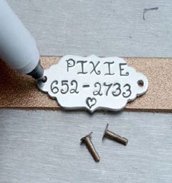 jewelry for pets