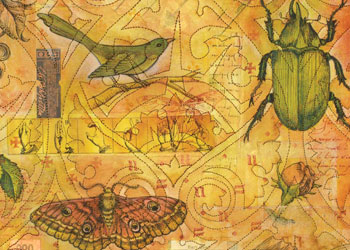 Creative Quilt Design: Tea and Entomology A Stitched Paper Quilt by Judy Coates Perez