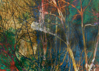 Digital Fabric Printing for Texture: Textured Fiber Photographs by Wen Redmond