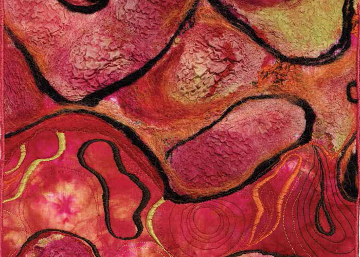 Needle Felting Patterns: Take Machine Needle Felting to the Next Level by Leslie Tucker Jenison