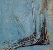 Learn tips for drawing anatomy drawing-anatomy