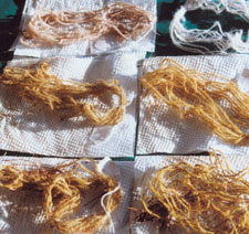 Learn everything you need to know for hand-dyeing yarn hand-dyeing-yarn