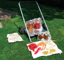 Get expert natural dyeing techniques and begin dyeing your own yarn today natural-dyeing-techniques