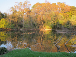 View from The Mannings Handweaving School