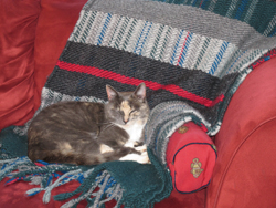 Handwoven twill throw inspired by a Handwoven magazine project