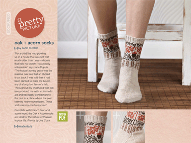 sockupied interior 1