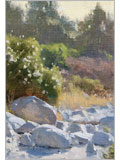 Artist Daily Workshop: Mastering Plein Air in Oil with Frank Serrano - DVD - 10AA10