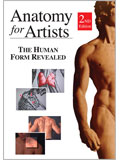 Anatomy for Artists: The Human Form Revealed, 2nd Edition 