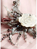 Moonlit Rose 