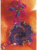 Swirly Twirly Earrings 