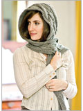 Pfeiffer Falls Hooded Scarf
