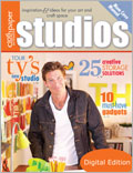 Studios, Spring 2011: Digital Edition