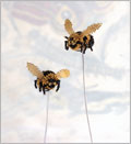 Sweet Bumblebee