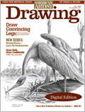 Drawing, Fall 2008: Digital Edition