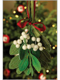 Magical Mistletoe