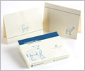 Note Cards - Animal Motif Set 