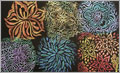 Floral Fantasy Rubbing Plates - QM0157
