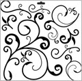 Mini Capricious 6