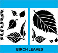 Birch Leaves - Pattern