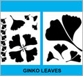 Ginkgo Leaves Pattern