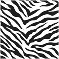 Zebra 12 x 12 Inch Stencil 