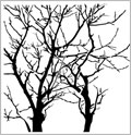 Branches Reversed 12 x 12 Inch Stencil