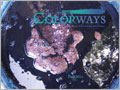 Colorways, Fall 2011 eMag for <b>PC</b> colorways, fiber arts, dyeing, natural dyeing, acid dyeing, indigo, indigo dyeing, kitchen dyeing, how to dye, fiber color,