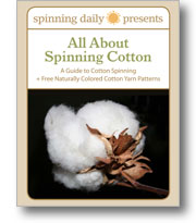 Spinning Cotton