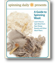 Spinning Wool