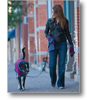 Dog Sweater Patterns: Fetching Dog Sweater, Bag, and Mittens