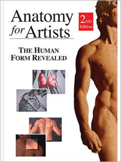 Anatomy for Artists The Human Form Revealed 2nd Edition Video Download