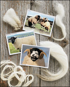 The Fleece and Fiber Sourcebook
