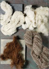 Spin-Off magazine presents an eBook full of spinning tips from master spinner Judith MacKenzie.